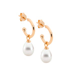 Earring Gold - E558G - Markbridge Jewellers