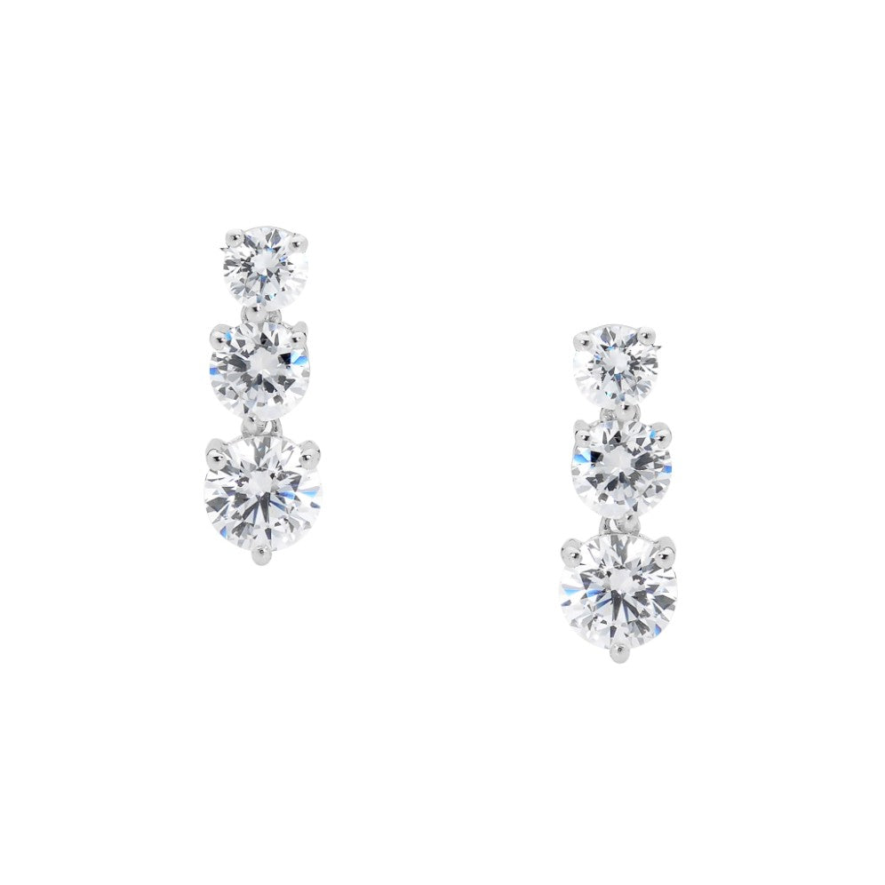 Drop Earrings