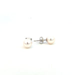 Akoya Pearl Stud Earrings 7mm - Markbridge Jewellers