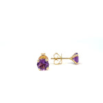 Amethyst Stud Earrings - Markbridge Jewellers