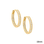Sterling Silver Gold-plated CZ Hoop Earring - E312