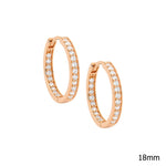 Sterling Silver Gold-plated CZ Hoop Earring - E312
