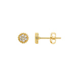 Earring Gold - E517G - Markbridge Jewellers