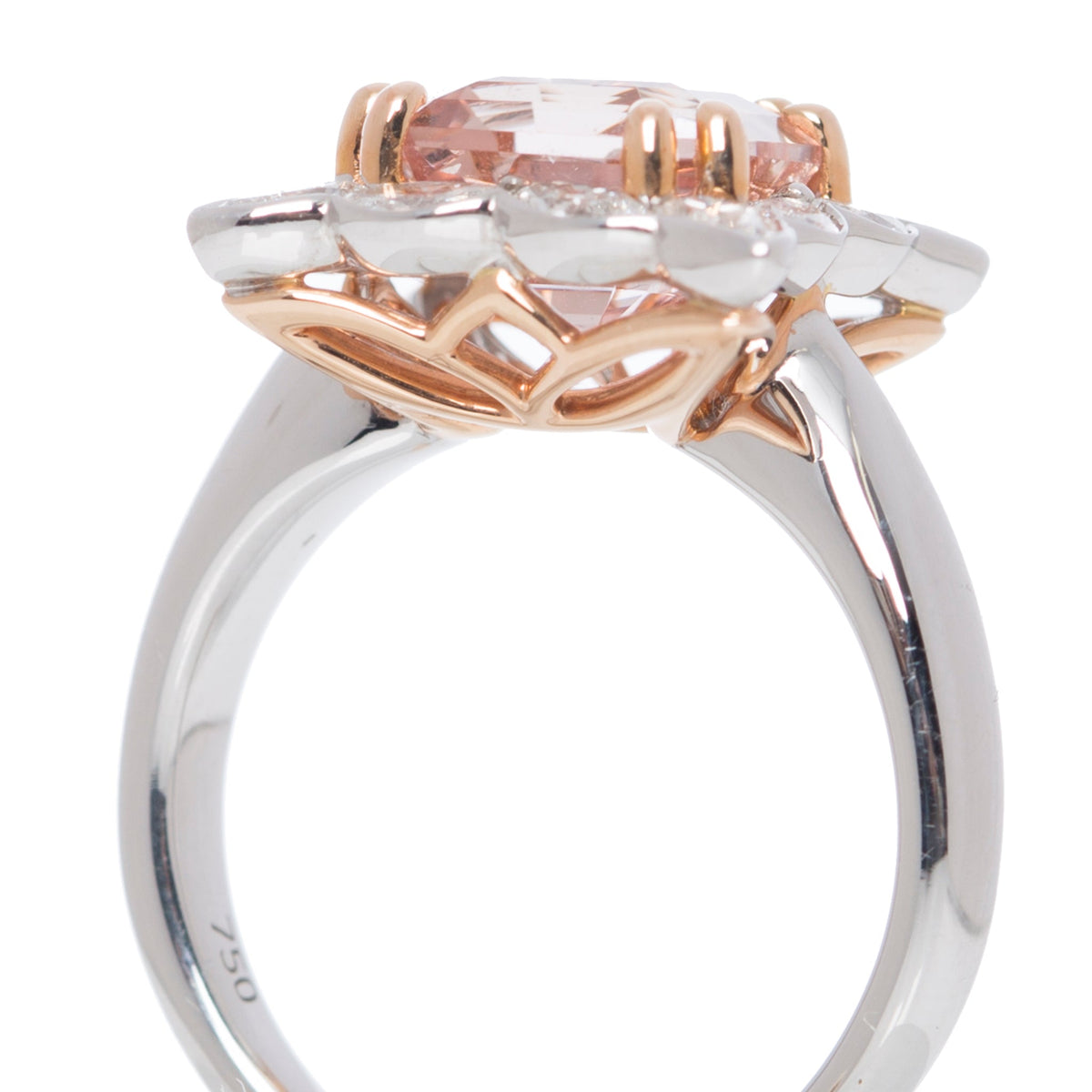 MB-LUXE Morganite & Diamond Ring - Markbridge Jewellers