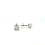 Solitaire Diamond Stud Earrings - Markbridge Jewellers