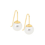 Stainless Steel Earring Gold - SE173G - Markbridge Jewellers