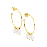 Stainless Steel Earring Gold - SE226G - Markbridge Jewellers