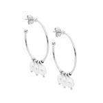 Stainless Steel Earring Gold - SE226G - Markbridge Jewellers