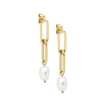 Stainless Steel Earring Gold - SE256G - Markbridge Jewellers