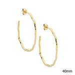 Stainless Steel Earring Gold - SE260G - Markbridge Jewellers